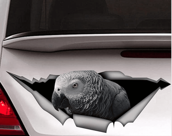 Grey Parrots Sticker
