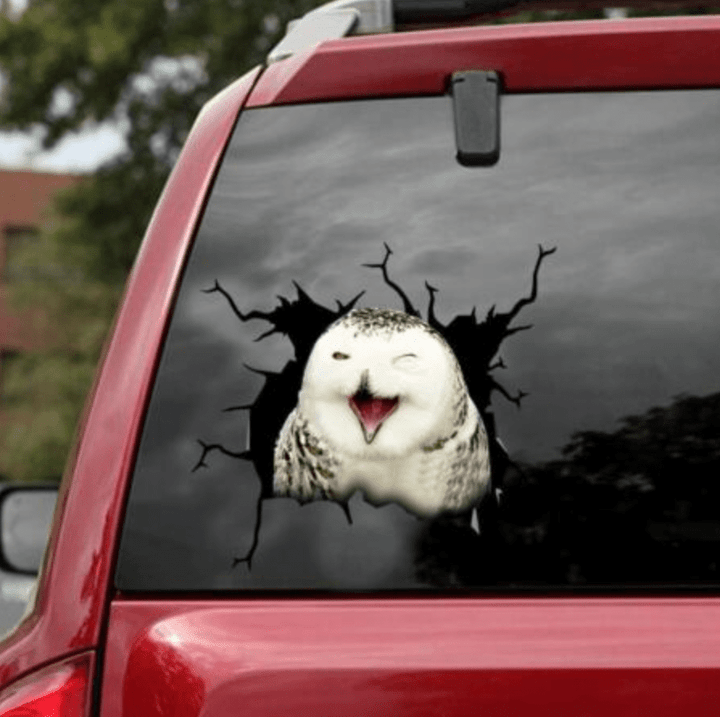 Owls Sticker Car