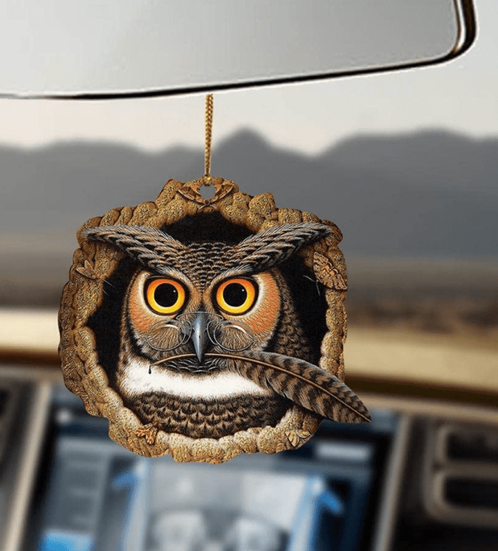 Owls Ornament Car