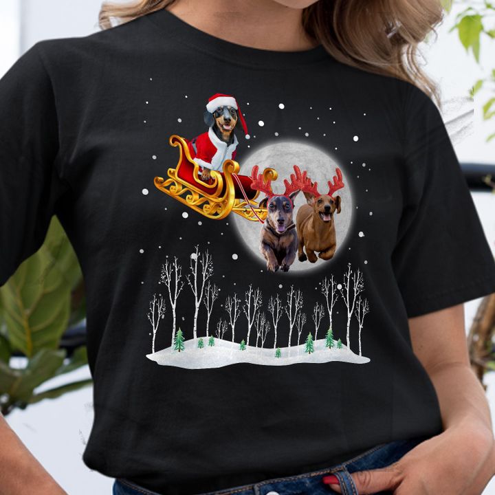 Dachshund Christmas Shirt Funny Christmas T-Shirt Christmas Gifts For Dog Lovers