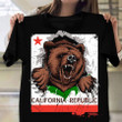 California Republic Bear Hoodie California Republic State Symbol Patriotic Hoodie Gift For Him