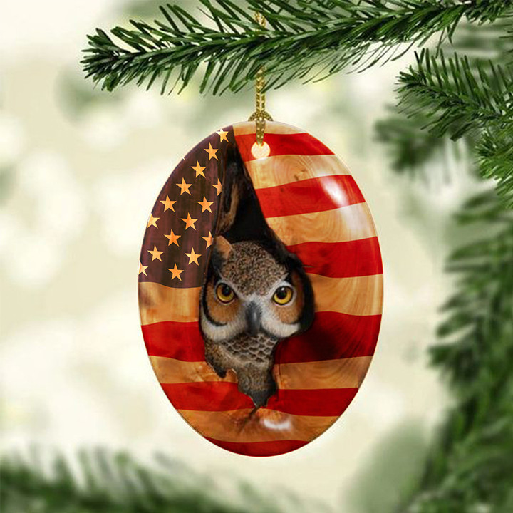 Owl American Flag Ornament Patriotic Christmas Tree Ornaments Gifts For Owl Lovers