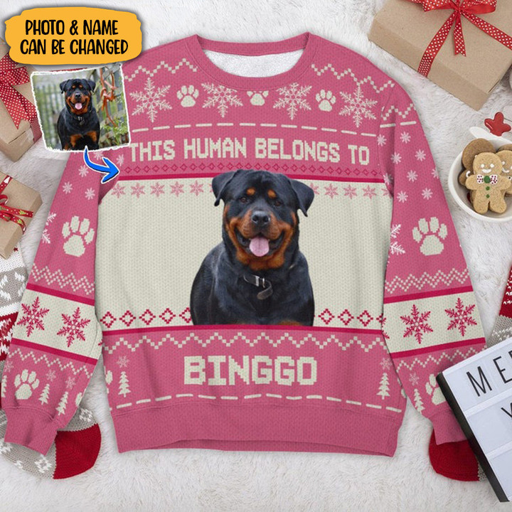 Custom Photo Rottweiler This Human Belongs To Sweatshirt Dog Lovers Christmas Sweatshirt Gifts
