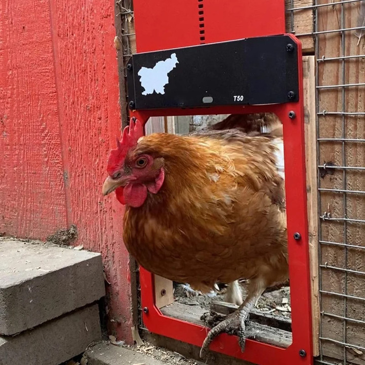 Automatic Chicken Coop Door