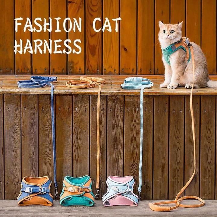 Luminous, Escape Proof Cat Vest Harness and Leash Set