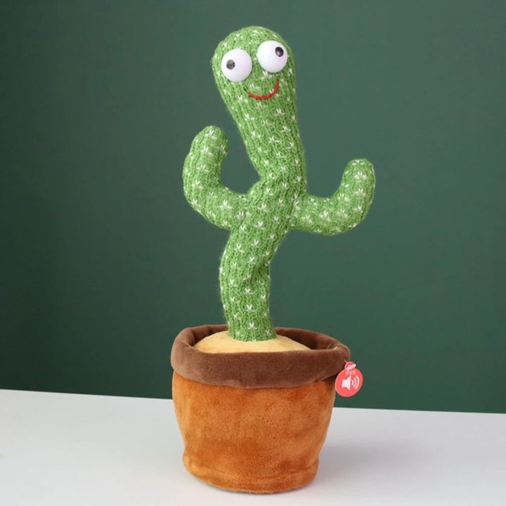 Orange Baby Funny Cactus