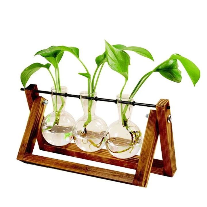 Plant Terrarium With Wooden Stand