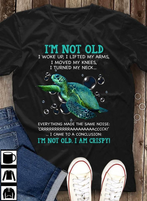 Turtle I'm not old I woke up I lifted my arms I moved my knees I turned my neck everything made the same noise T shirt Hoodie Sweater N98