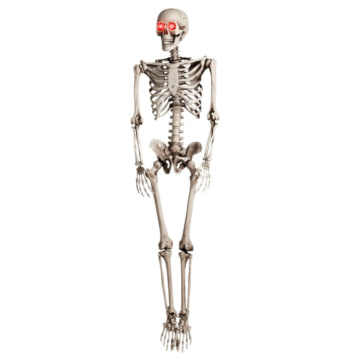 Halloween Prop 5Ft Skeleton Full Size Giant Decoration Skeleton Skull Hand Lifelike Fake Human Body