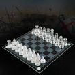 Acrylic Elegant Glass Chess Set