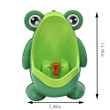 Frog Potty Training For Boys