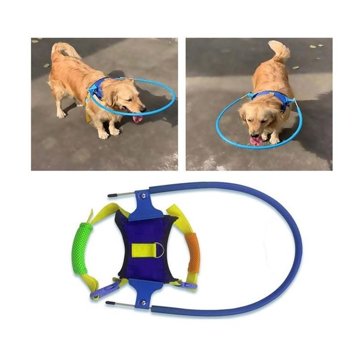 Halo-Harness Blind Pet-Anti-Collision-Ring Scorpion Animal-Protection Dogs For Cataract