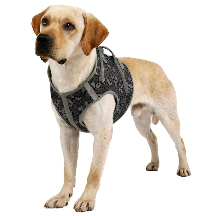 Full Body Support Dog Lift Harness