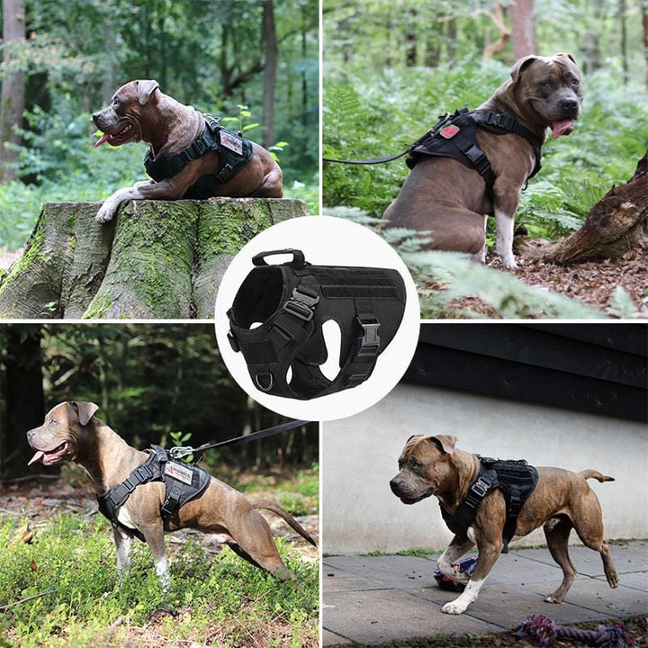 Tactical Dog Harness For Medium Large Dogs