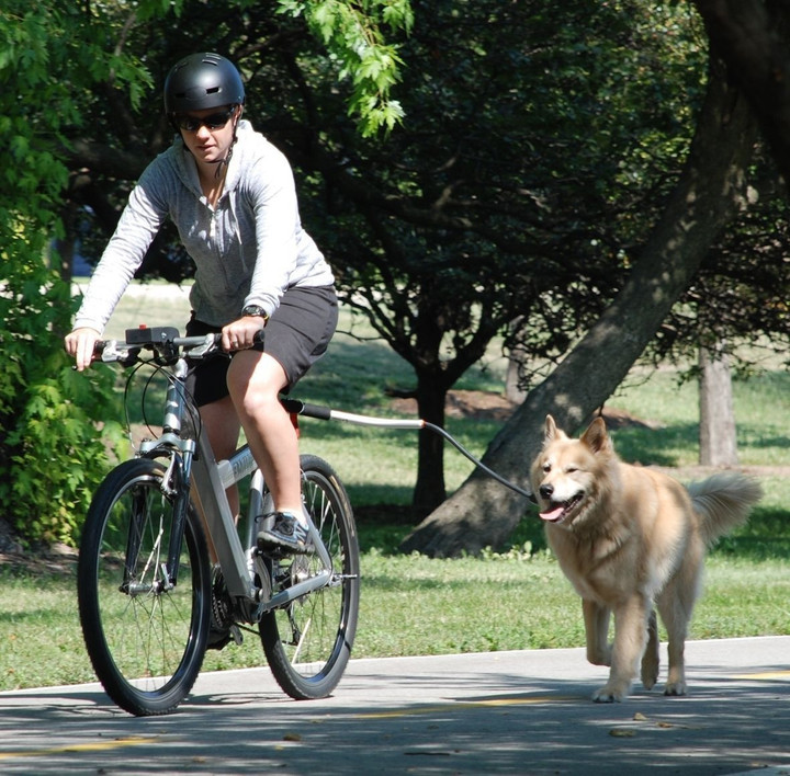 Dog Bicycle Leash Elastic Bicycle Traction Belt Rope Dog Leash Bike Attachment Removable Dog Leashes Dog Walkers