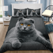 Cute Short Hair Scottish Cat Bed Sheets Duvet Cover Quilt Bedding Set
