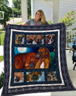Dog And Moon Couple Dog Boxer Dogs Quilt Blanket Great Customized Blanket Gifts For Birthday Christmas Thanksgiving