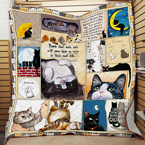 Cat Time Spent With Cats Is Available Quilt Blanket Great Customized Blanket Gifts For Birthday Christmas Thanksgiving
