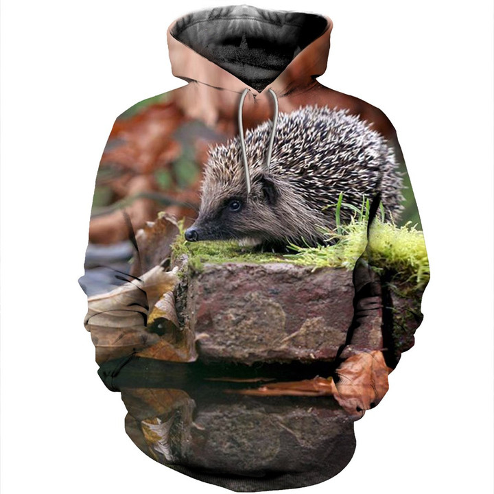 Hedgehog 3D All Over Print Hoodie, Or Zip-up Hoodie