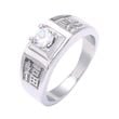 White Zircon Rings with Word "Fu" 361L Stainless Steel Jewelry Rings for Men