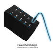 Sabrent 60 Watt 10-Port Family-Sized Desktop USB Rapid Charger, Auto Detect Technology