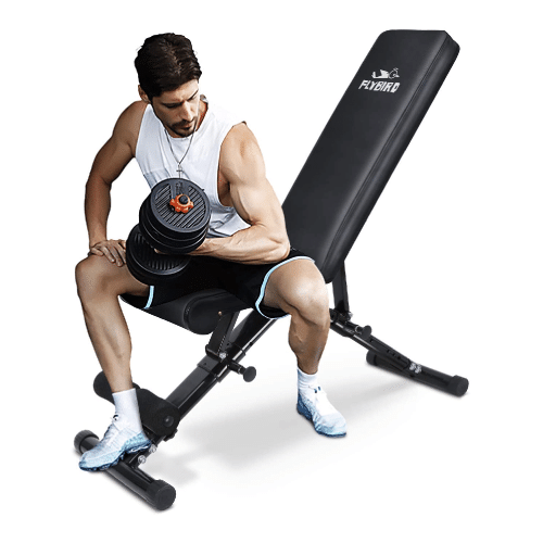 Flybird Weight Bench, Adjustable Strength Training Bench for Full Body Workout