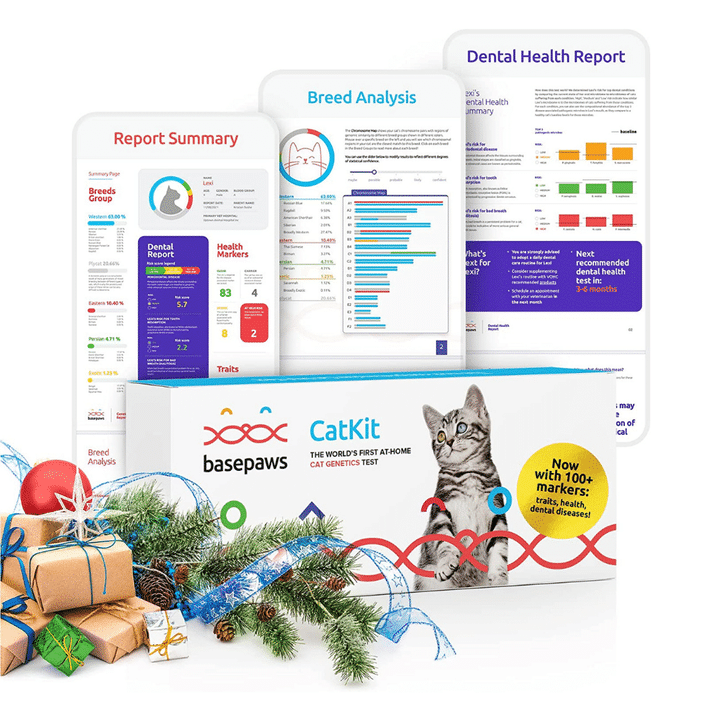 Basepaws Cat DNA Test Kit Breed, Health Report And Wildcat Index