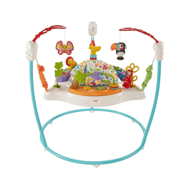 Fisher-Price Animal Activity Jumperoo, Blue, One Size