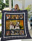 QUI18001 Boston Terrier Quilt Blanket