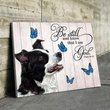 THD0122 Border Collie Matte Canvas