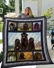 QUI1005 Newfoundland Quilt Blanket