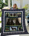 QUI1003 Newfoundland Quilt Blanket