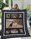 QUI25003 Beagle Quilt Blanket