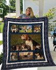QUI25005 Beagle Quilt Blanket