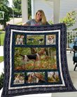 QUI25006 Beagle Quilt Blanket