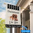 BIF2302 Beware Dachshunds Live here Personalized Flag
