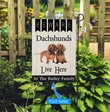 BIF2302 Beware Dachshunds Live here Personalized Flag