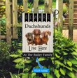 BIF2313 Beware Dachshunds Live here Personalized Flag