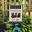 BIF2311 Beware Dachshunds Live here Personalized Flag