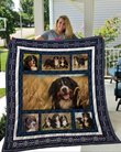 QUI16006 Bernese Mountain Dog Quilt Blanket