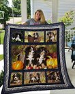 QUI16008 Bernese Mountain Dog Quilt Blanket