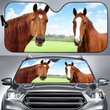 BIC0202 Horse Car Sun shade
