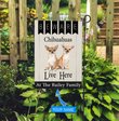 BIF2306 Beware Chihuahuas Live here Personalized Flag