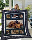 QUI36002 English Cocker Spaniel Quilt Blanket
