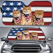 DIC5007-Cat Car Sun shade