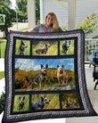 QUI14005 Australian Cattle Dog Quilt Blanket