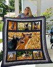 QUI14006 Australian Cattle Dog Quilt Blanket