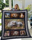 QUI24006 Australian Shepherd Quilt Blanket