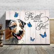THD0118 Australian Shepherd Matte Canvas