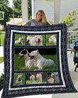 QUI67001 Dogo Argentino Quilt Blanket